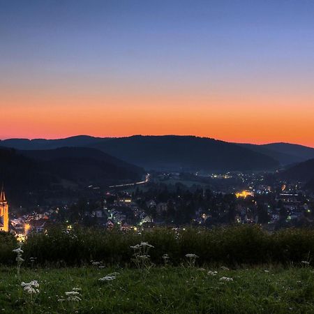 Drei Tannen - Wohnung 12 - Apartmenthaus, Titisee, Nahe Badeparadies Exteriör bild