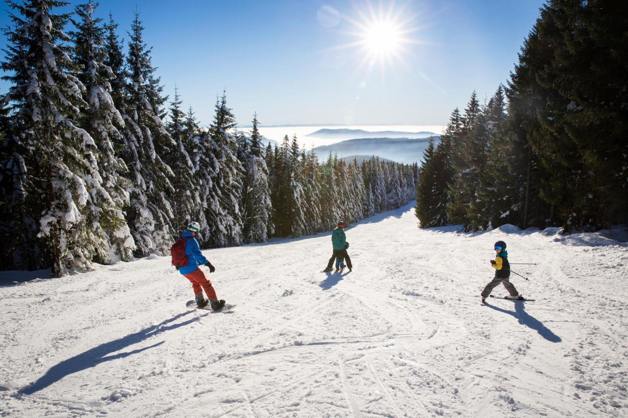 Drei Tannen - Wohnung 12 - Apartmenthaus, Titisee, Nahe Badeparadies Exteriör bild