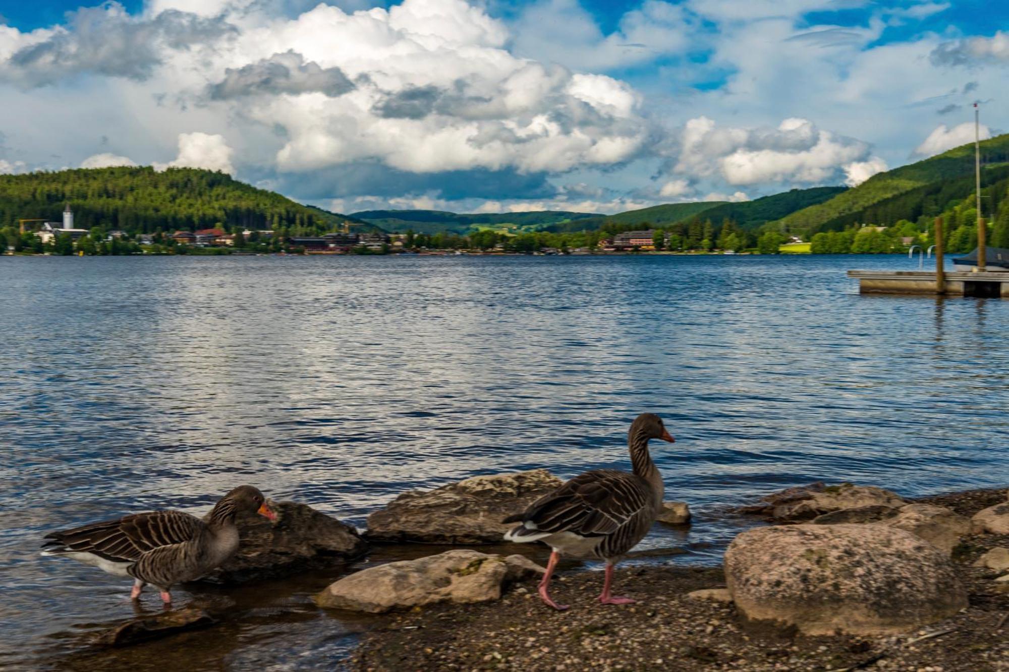 Drei Tannen - Wohnung 12 - Apartmenthaus, Titisee, Nahe Badeparadies Exteriör bild